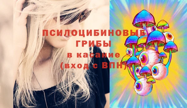амфетамин Белокуриха