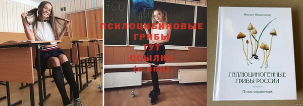 амфетамин Белокуриха